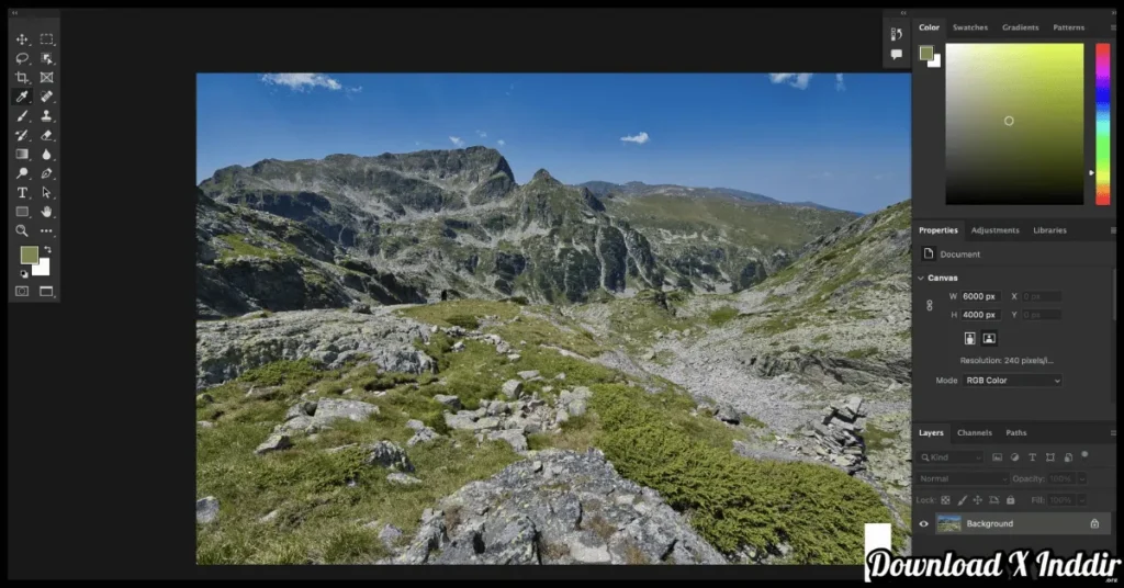 Adobe Acrobat Reader