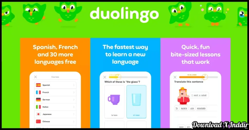 Duolingo Premium