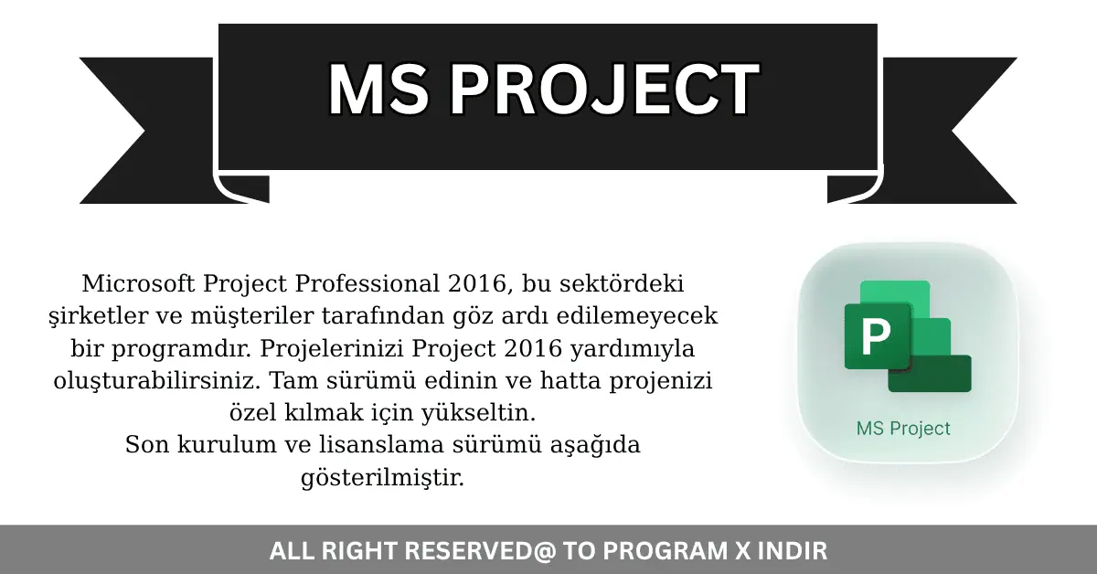 MS Project